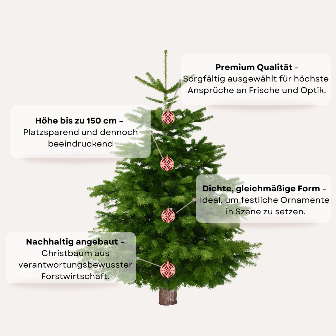 "kompakte Weihnacht" - Christbaum 100cm bis 150 cm