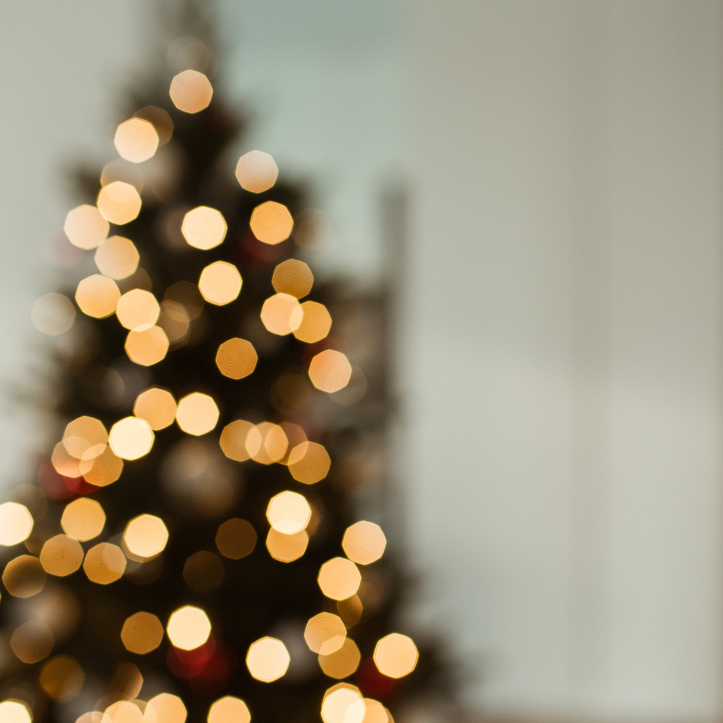 TannenBlitz-Wertgutschein