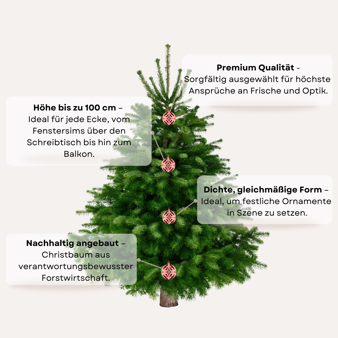 "Weihnachtszauber Mini" - Christbaum 80cm bis 100cm