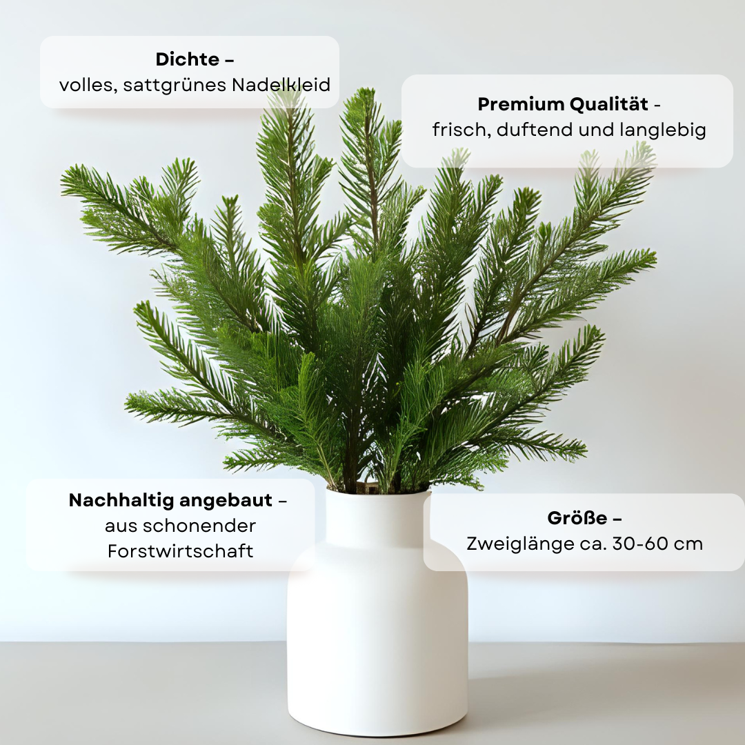 Frische Tannenzweige „Winterduft“