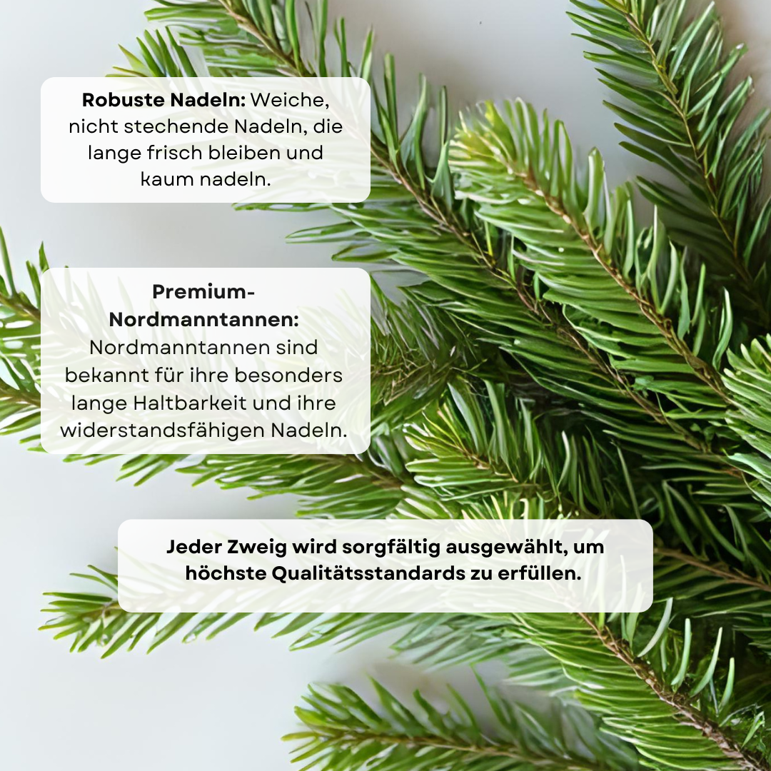 Frische Tannenzweige „Winterduft“